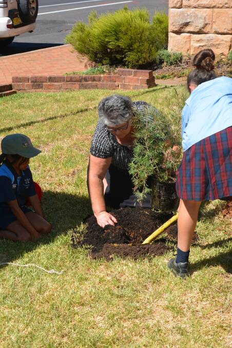 Robyn Edwards planting the tree with two local Aboriginal children. Photo: NICK GRIMM