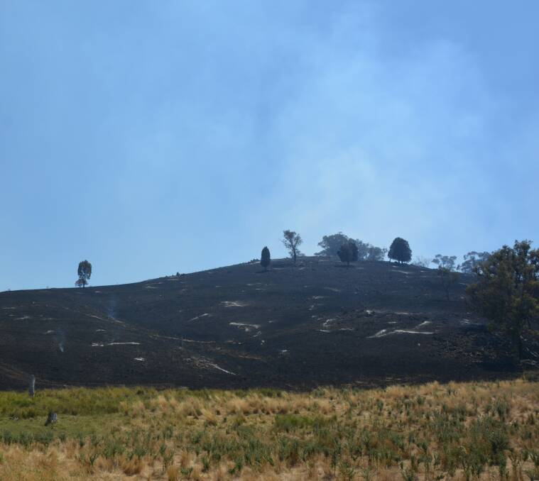 SCORCHED REMAINS: Smoke rising from one of the burnt out hills near Wellington. Photo: NICK GRIMM