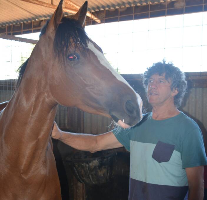 PARTNERS IN CRIME: Terry Fahey with one of his horses at the Wellington Showground - Racecourse Stables. Photo: NICK GRIMM