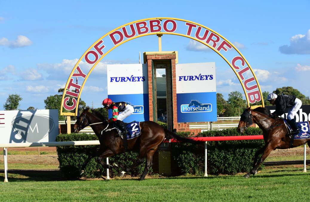 WINNER: The Garry Lunn-trained Ghibli crosses the line first in the Dubbo RSL Sunset Bistro at Dubbo on Sunday. Photo: PAIGE WILLIAMS
