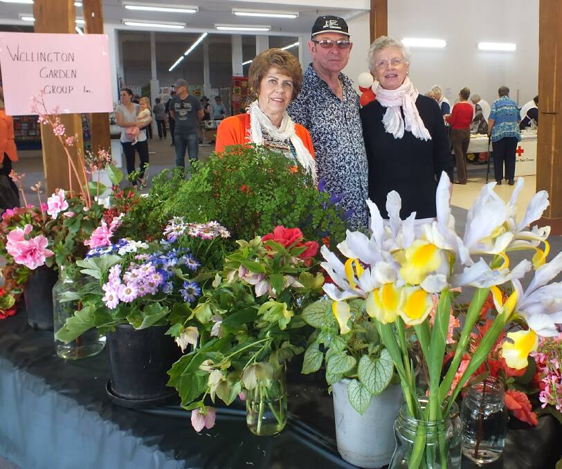 Gardening goals: Jennifer Wykes, Noel Grimes, and Dianne Whittle from the Wellington Garden Group which is planning an open day in 2017. Photo contributed. 