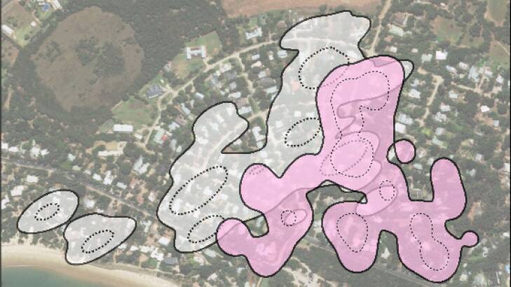 This aerial view shows the parts of Somers Rosie the female koala (pink) and Romeo the male koala (grey) call home. The dotted lines indicate their preferred areas.  Photo: Desley Whisson