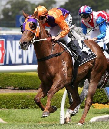 Forward march: Jay Ford and Our Boy Malachi combine to score at Rosehill. Photo: Anthony Johnson/Getty Images