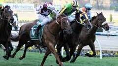 Hawkspur was also a sensational winner for Chris Waller in Sydney in the Chelmsford Stakes.