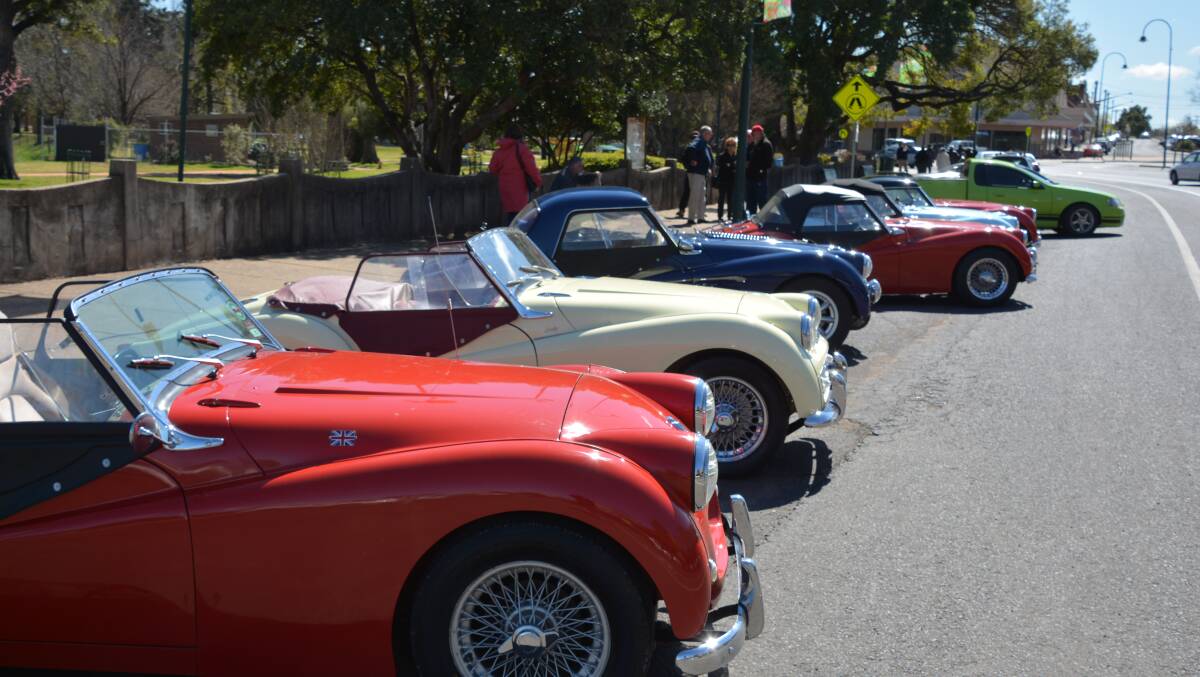 Some of the types of cars you'll see at the Mumbil car show Saturday.