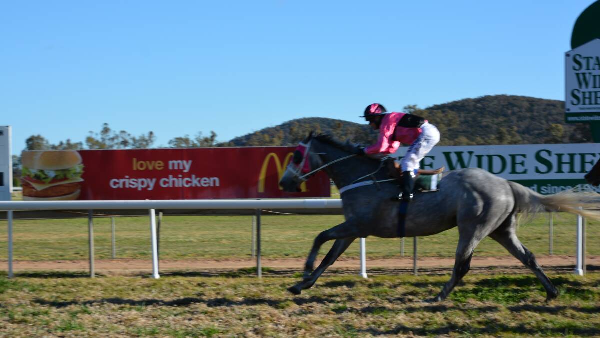 Slate On Edge slays the field in the Wellington Valley Handicap