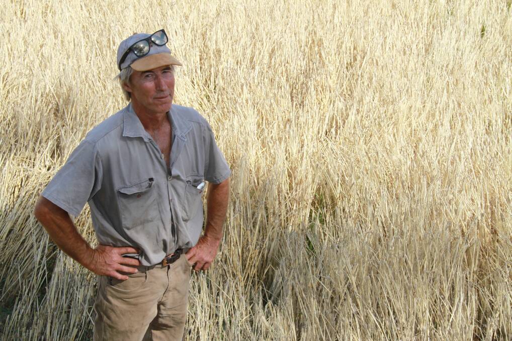 Stewart Edwards with his barley crop.