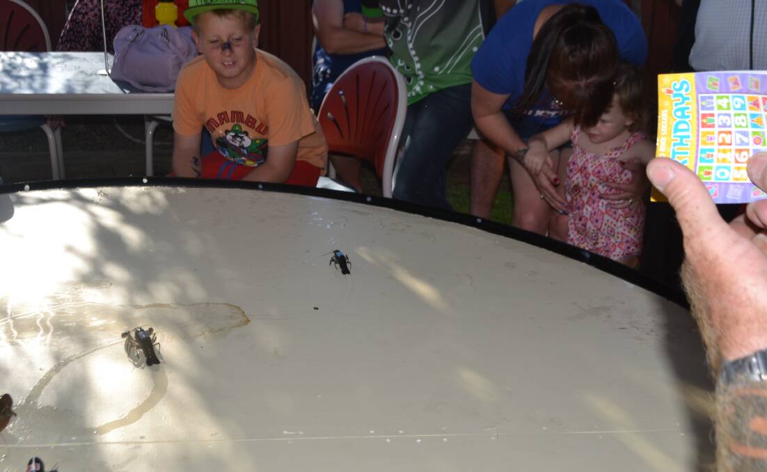Yabby races will be popular at the Wellington