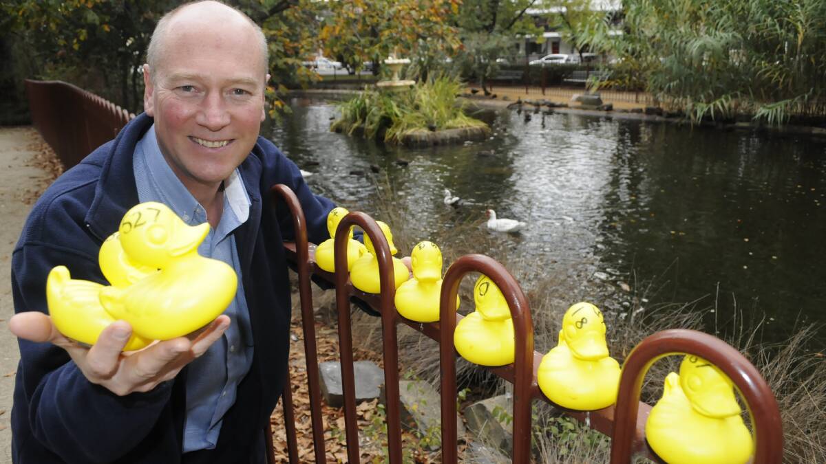 YELLOW FEVER: Duck race co-ordinator David Weekes from the Rotary Club of Bathurst is looking forward to the event's return to Proclamation Day activities beside the Macquarie River on Saturday. Photo: CHRIS SEABROOK	 050216cducks1a..
