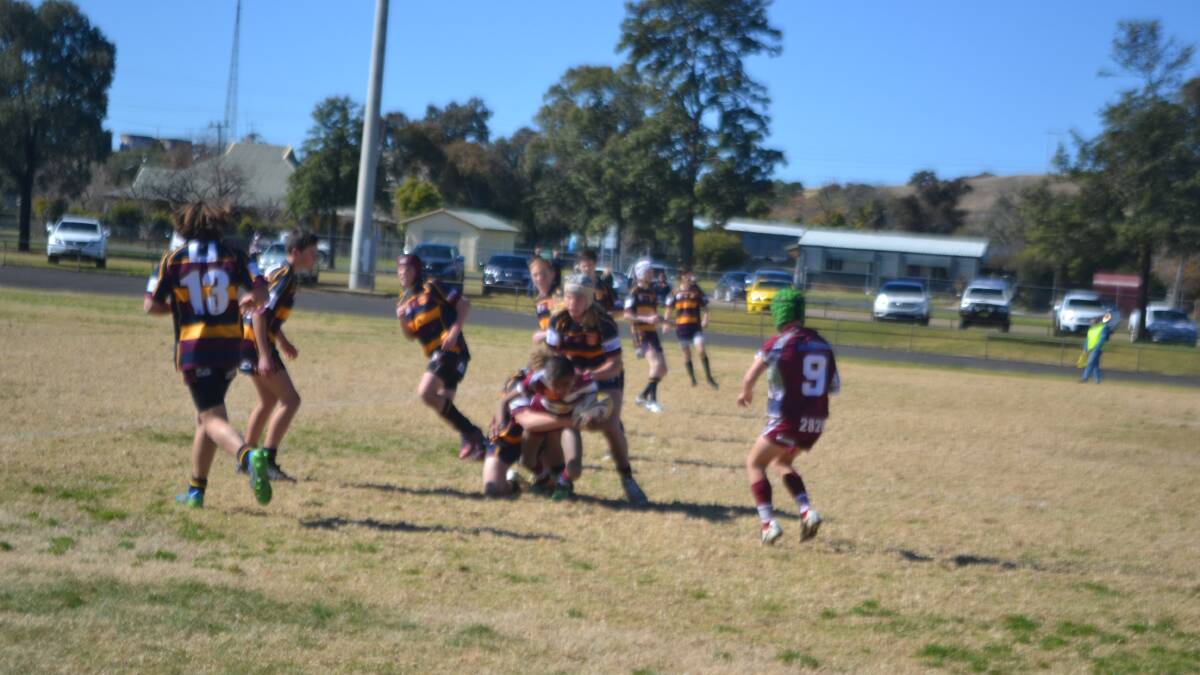 Wellington is busy every Saturday with big sports action in junior league and plenty of success.