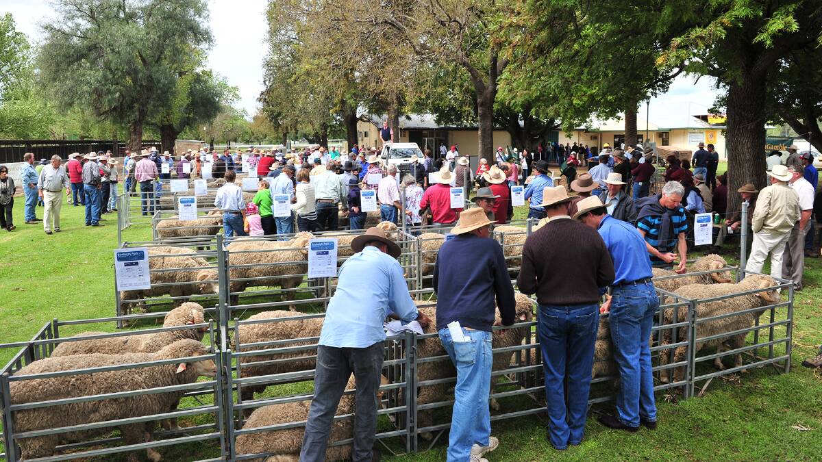 The SRS Merino field day is now a national event