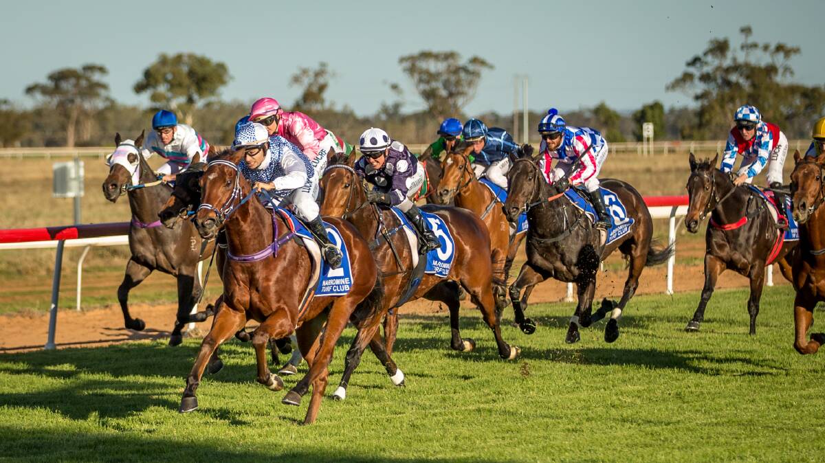Cheeky show some cheek in his win at Narromine Monday Photo: www.racingphotography.com.au