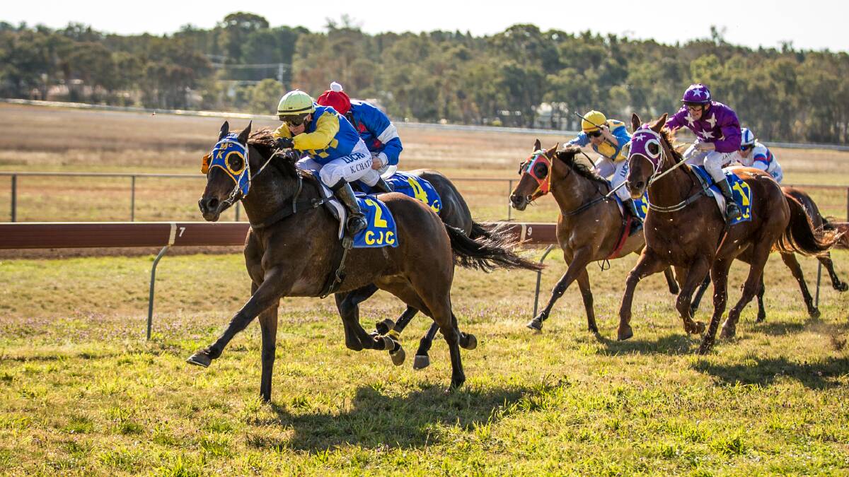 Something Borrowed is one of a number of Dubbo horses set to run in Sunday's Country Championship Qualifier (1400m). Photo: JANIAN MCMILLAN (www.racingphotography.com.au)