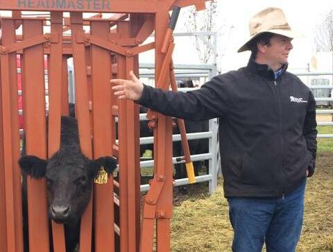 ADVICE: Senior Land Services Officer, Brett Littler, gives a practical demonstration on beef cattle at the Mudgee Small Farm Field Days.