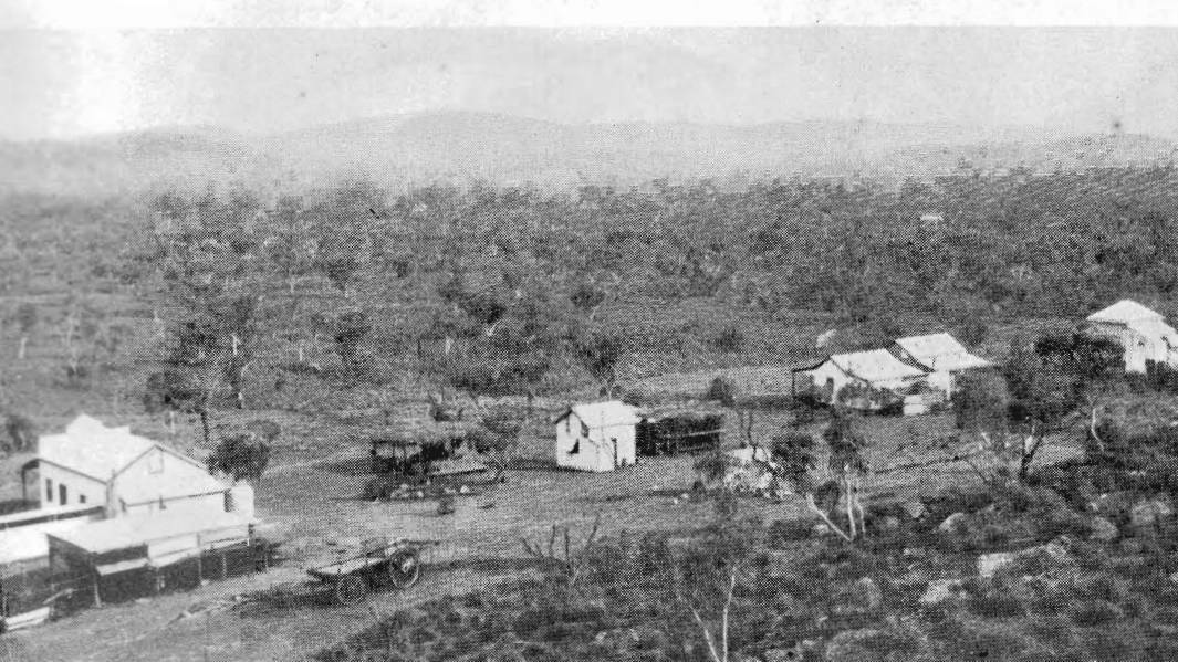 Mount Isa Mines first office was situated opposite where the Leichhardt Bowls Club is now. Picture supplied