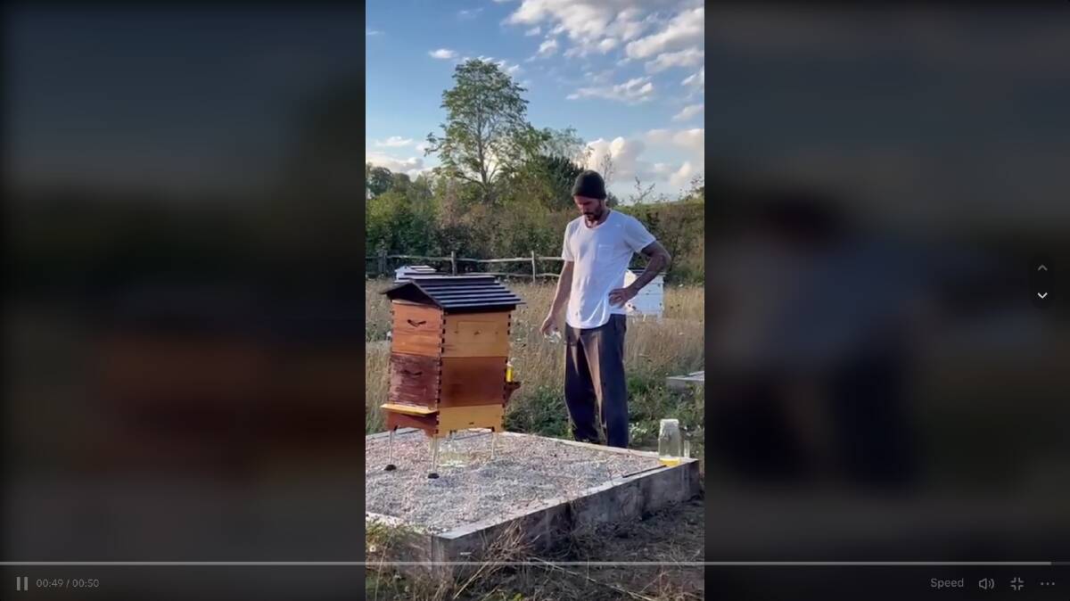 David Beckham harvesting honey from his Flow Hive on the Netflix show Beckham. Picture by Netflix