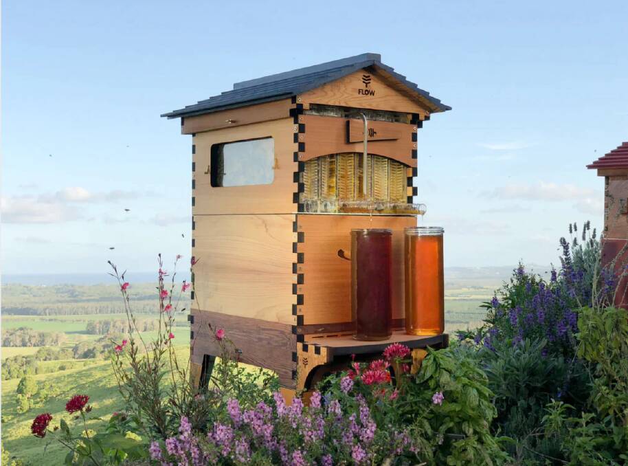The Flow Hive, invented by Cedar and Stuart Anderson from The Channon offers an innovative way to harvest honey, straight from the hive. Picture by Flow Hive