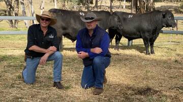 Ian Vivers, Eaglehawk Angus, Glen Innes with Mick Kelsall, Marengo Pastoral Company, Hernani, with the two bulls bought for $50,000 and $40,000 at the sale.