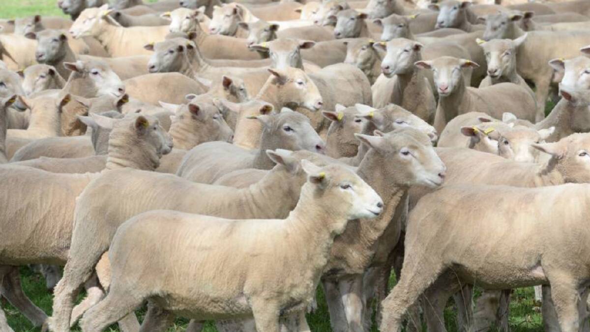 GAINS: Wool imports Into China from the five major wool exporting countries are showing a 10 per cent increase to the year ending in April.