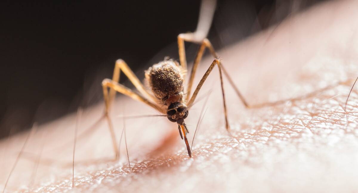 MOSSIE WARNING: A new case of Japanese encephalitis found in the Top End brings fresh warnings about the danger when the nation emerges from winter. 