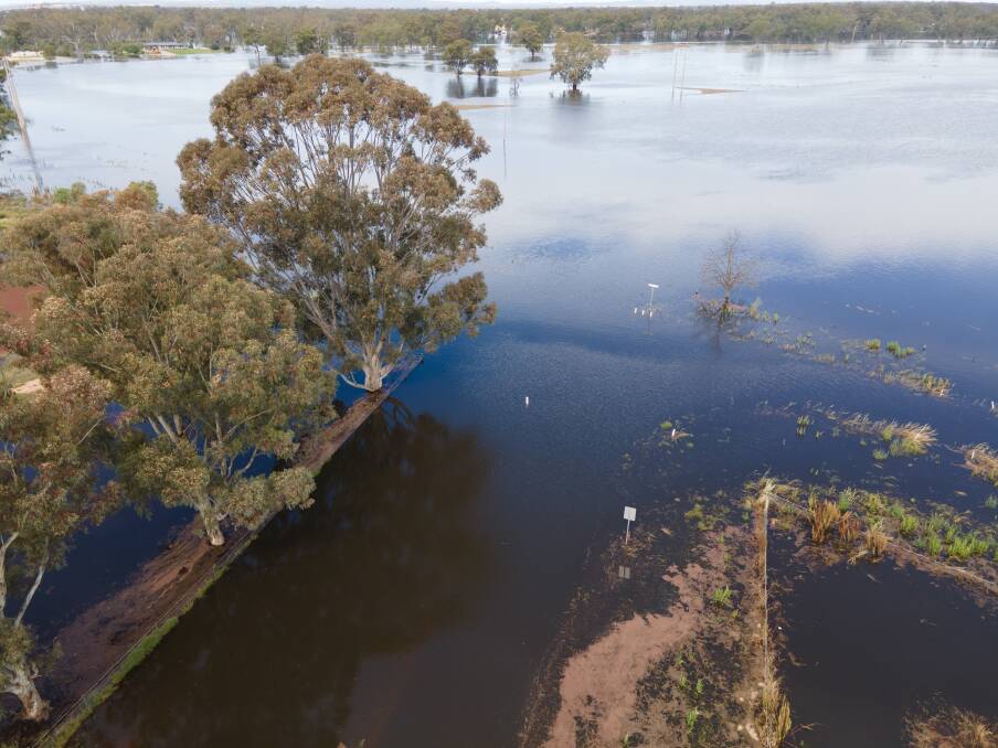 WATER EVERYWHERE: The view over parts of Forbes Shire on Thursday. Picture: Joshua Gavin 2LVR