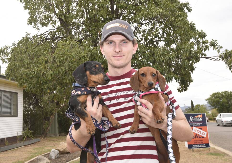 WHO LET THE DOGS OUT?: Scotty Jon Welsh has spearheaded the dachshund races at the Tamworth Paceway. Photo: Billy Jupp 