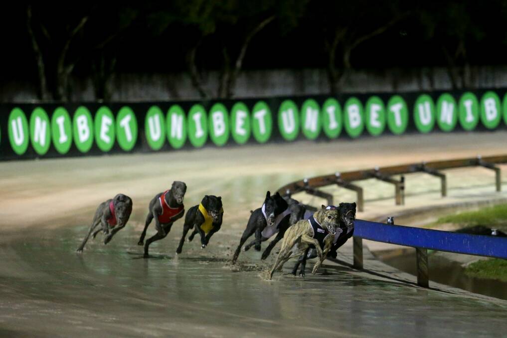 10 regional greyhound racing tracks to remain open as NSW moves into COVID-19 lockdown