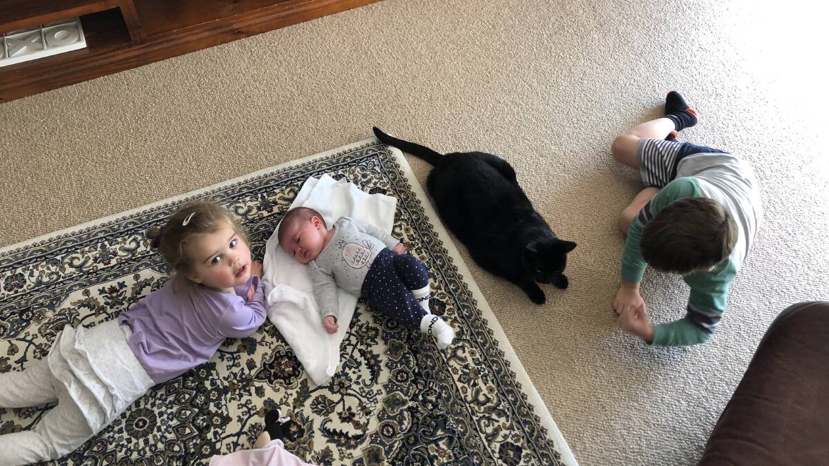 The kids and the cat, all together during lockdown.
