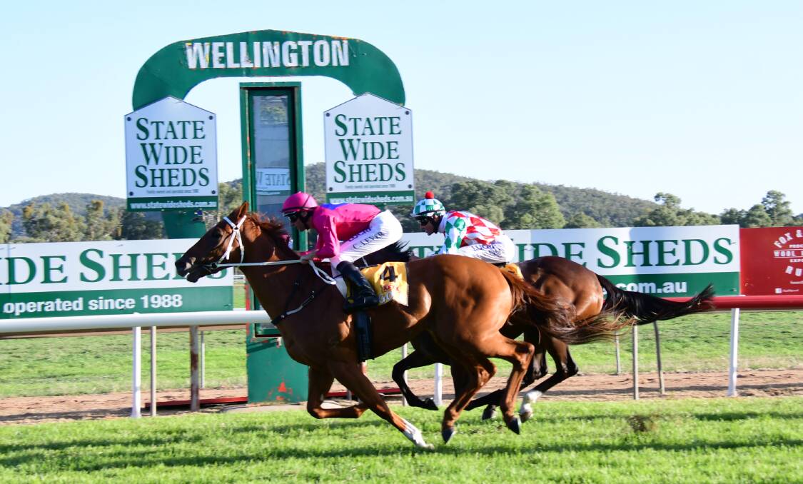 Uniform approach: Superium won the 2019 Wellington Boot for Joseph Pride. Attendance at this year's races will only be provided to essential personnel. Photo: AMY McINTYRE 