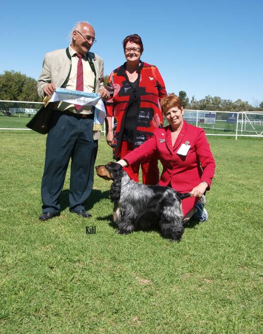 Breeder and handler Carol Mahoney with dog Ch Occuli Distinctive Look (Cody) owned by Tony and Gerda Wayenberg, of Jindera with judge Zellie Zilnik from Croatia. Photo: Ingo and Caron-Lee Kahl