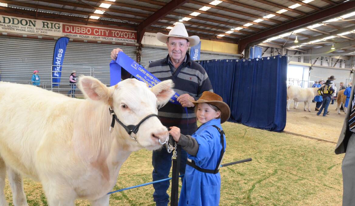 Bright future: Wellington's Olivia Dimmick, 9, led the winning steer in the silver calf class under 375kg. The steer is being sashed by Terry Griffin, Temana stud, Baradine. Photo: Mark Griggs. 