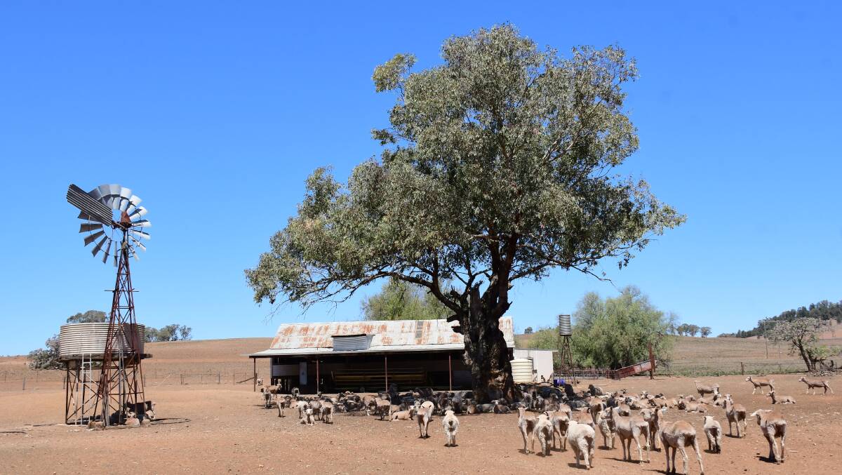The drought drive will cover more than 3000 kilometres, taking the people through some of the worst affected towns. Photo: Amy McIntyre.