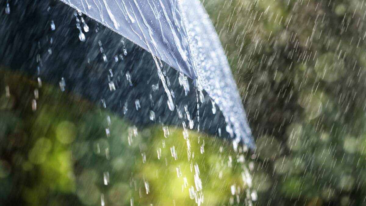 Welcome downpour: Wellington agronomist Michael White welcomed Tuesday's rainfall but said more was needed. Photo: Shutterstock.