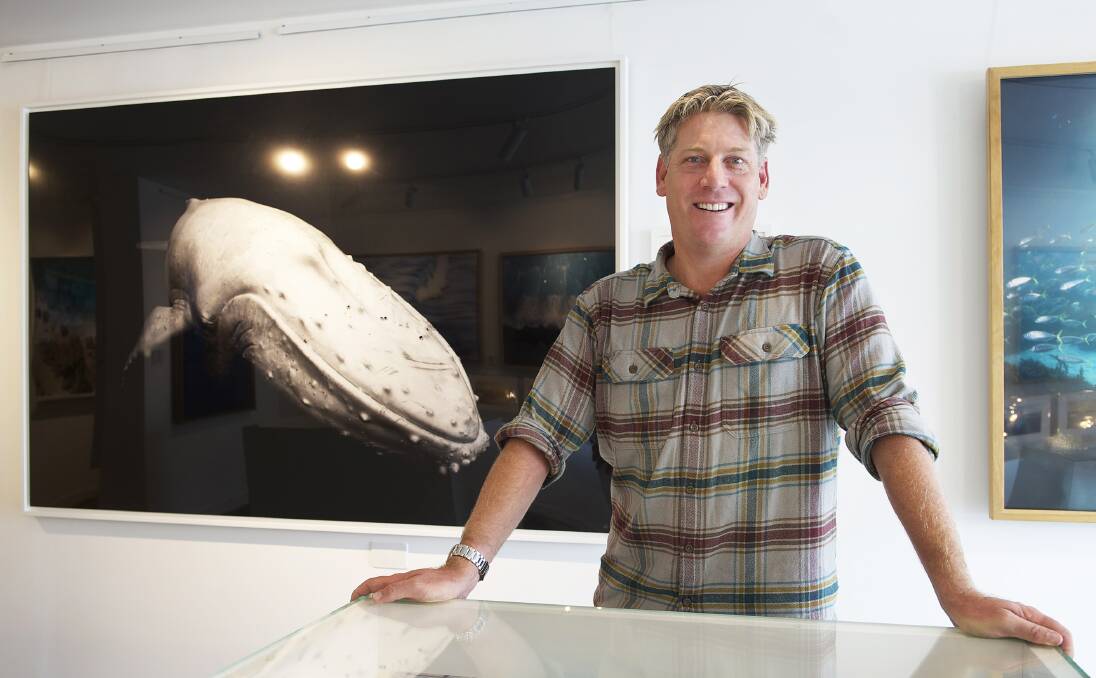 UNFORGETTABLE: Craig in his Byron Bay gallery with his famous image of Migaloo.