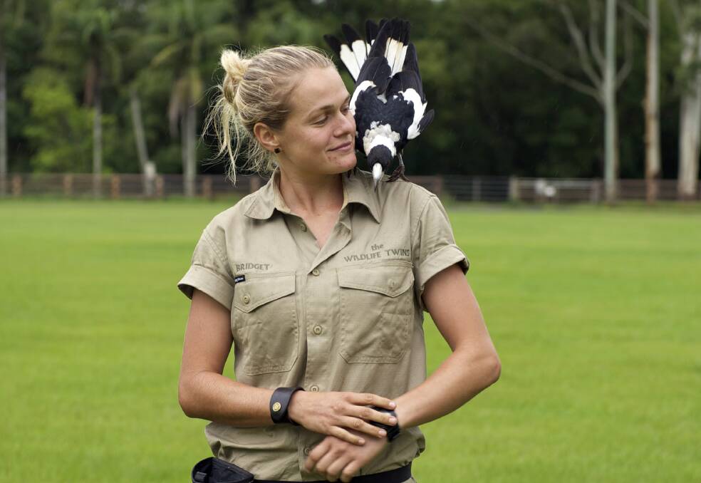 Bridget Thomson with Gerry the magpie, who worked alongside Naomi Watts in the new film Penguin Bloom. PHOTO: Kate O'Neill
