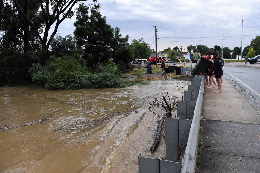 Swollen: The Creswick Creek flooded in the January storms.