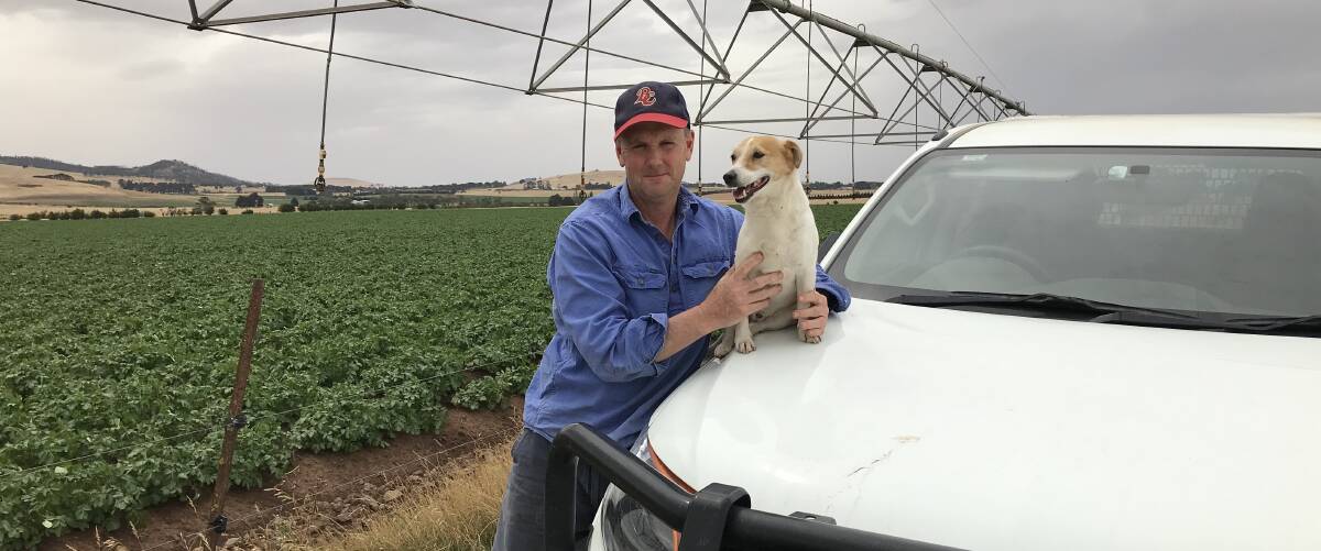 Hard yards: Farmer Gary Crick with one of his assistants at his potato farm in Blowhard. Picture: contributed