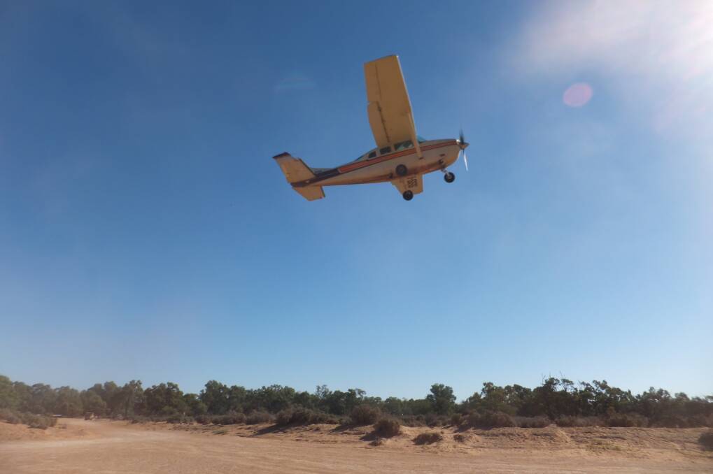 A single aircraft will cover vast areas of western NSW as nearly 50,000 wild dog 1080 baits will be dropped in inaccessible areas over a two-week period in early October. It follows an extensive ground baiting program. It is a mammoth operation covering more than 20 million hectares.
