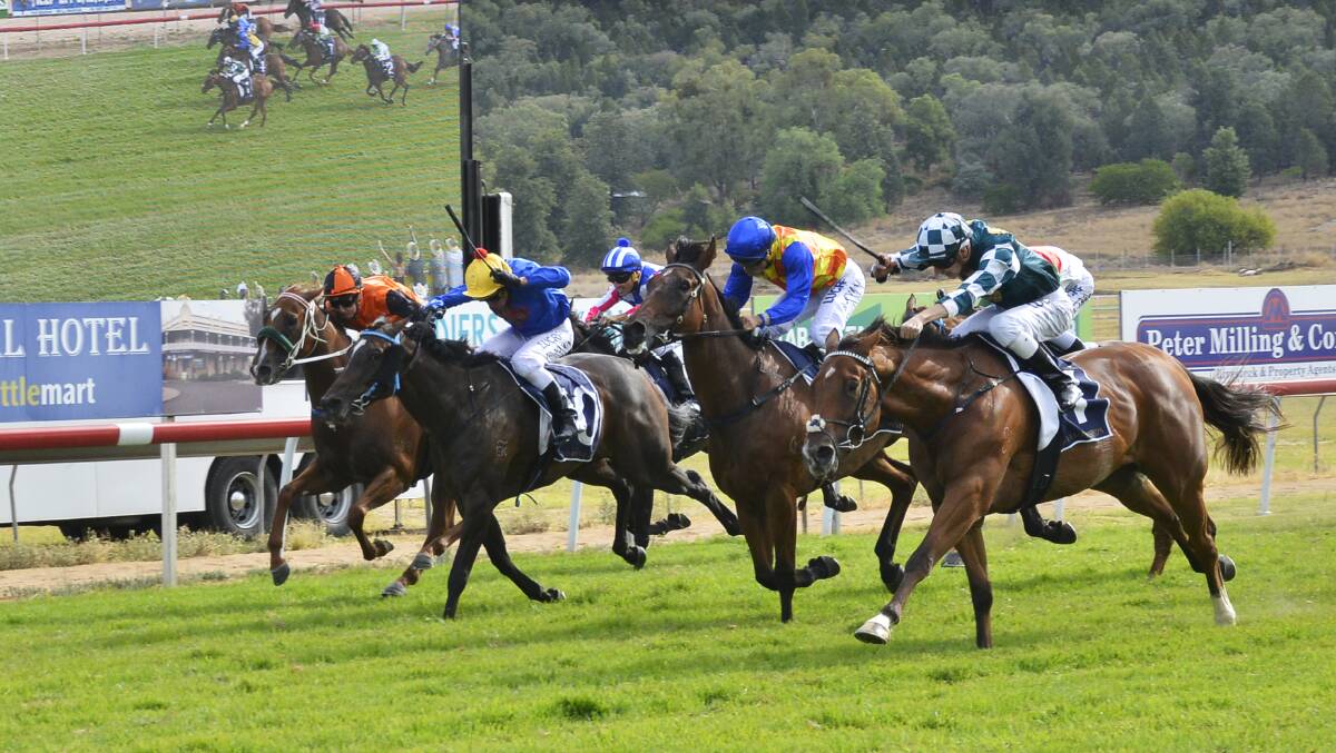 DISTINCTIVE VICTORY: Distinctive Look (far right) powering home in Sunday's Country Championships Qualifier. Photo: BELINDA SOOLE