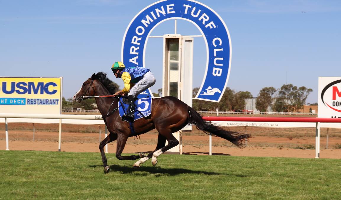 ON THE WAY: Valree goes past the post to win at Narromine on Wednesday, a meeting which featured a number of surprises. Photo: ZAARKACHA MARLAN