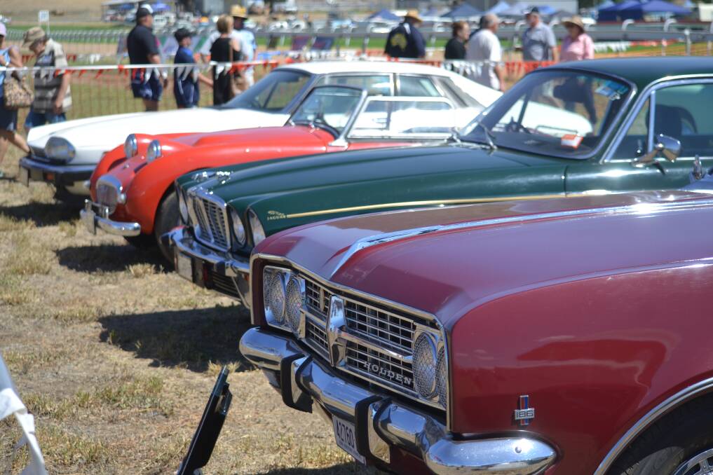 Vintage Style: Just a selection of the cars on display at the Vintage Fair on Sunday's event at the showgrounds. Photo: Daniel Shirkie.