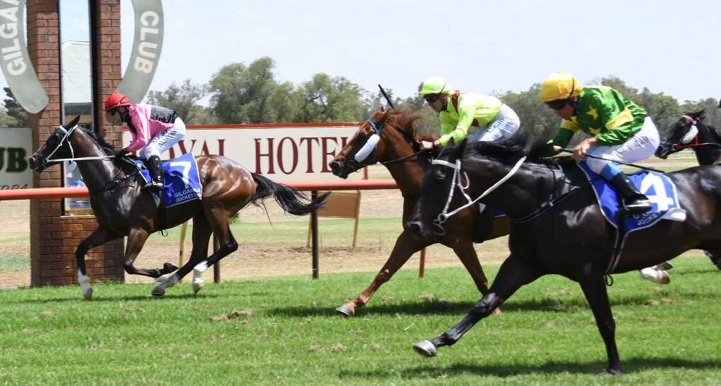 Alotafox (green silks, yellow cap) falls short against stablemate Moon Over Menah (pink and black silks) at Gilgandra on January 1. She'll be aiming to break the drought at Gilgandra on Saturday. Photo: AMY MCINTYRE