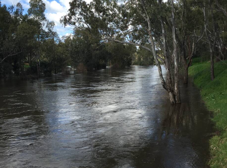 A big clean-up ahead: Funding may be available for Dubbo Regional Council to repair infrastructure damaged by the flooding Macquarie River. Photo: FAYE WHEELER