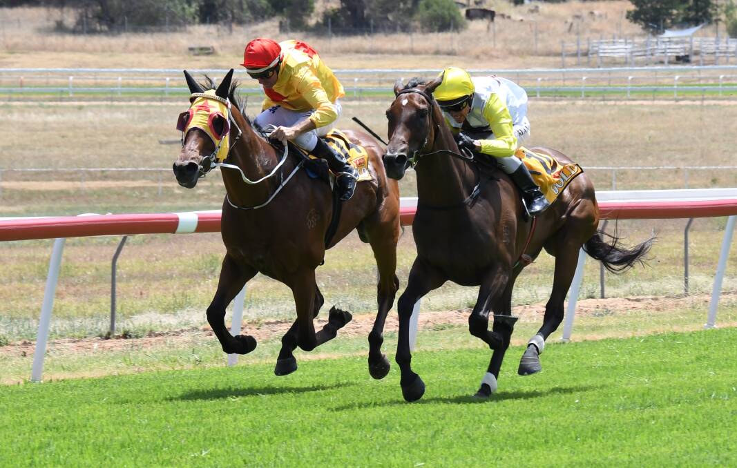 HOT FINISH: Greg Ryan (yellow and white silks) and Cool One narrowly got the better of Shane McGovern and Carinda Road. Photo: AMY MCINTYRE