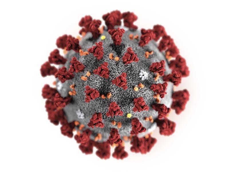 The Australian and New Zealand governments are taking different paths to combat the coronavirus.
