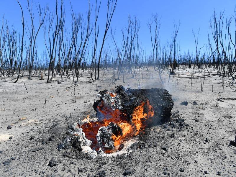 Six bushfires are burning on South Australa's Kangaroo Island.