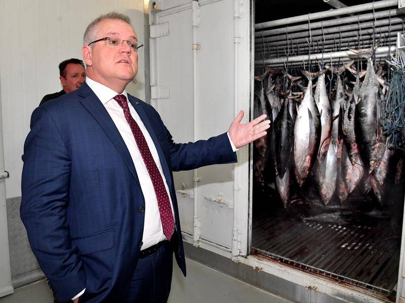 PM Scott Morrison says investment in a blast freezer at a Queensland company is supporting jobs.