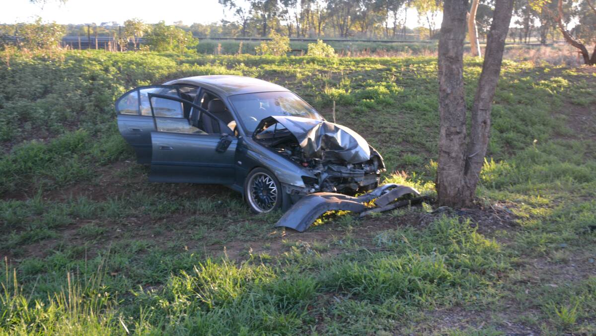 The car is believed to have struck a tree