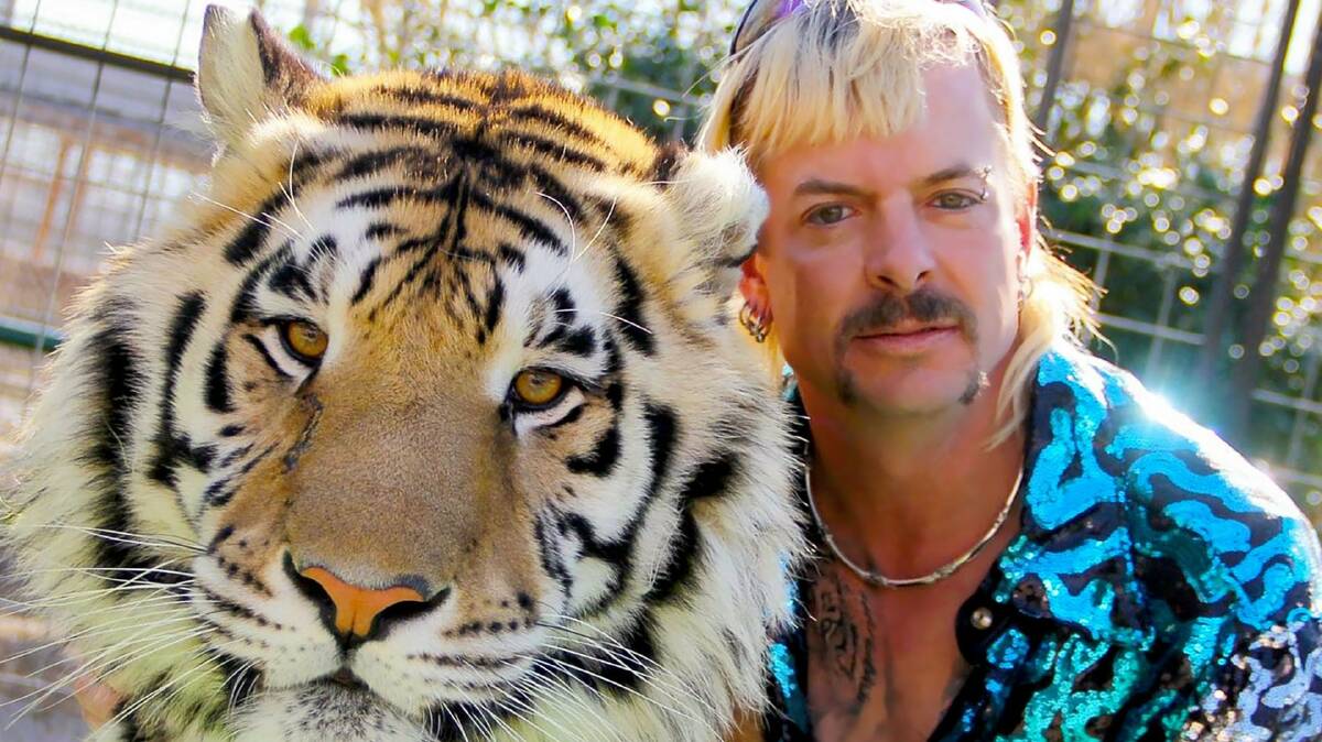 Netflix series Tiger King tells the real-life story of a big cat collector who goes by the name "Joe Exotic". 
